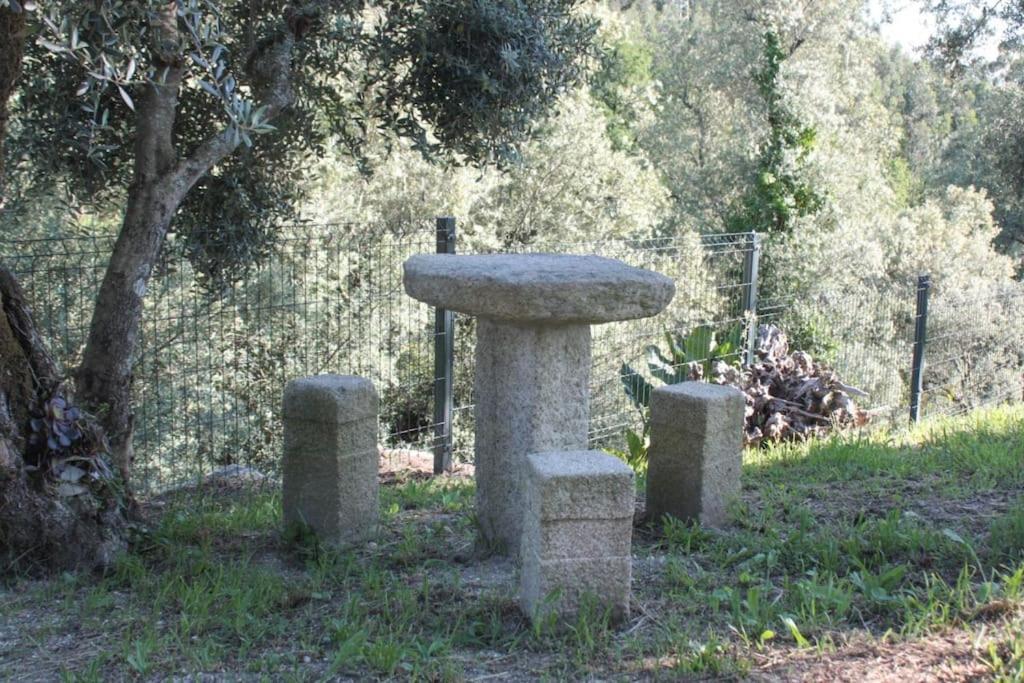 Lugar Cantinho Da Pereira מראה חיצוני תמונה